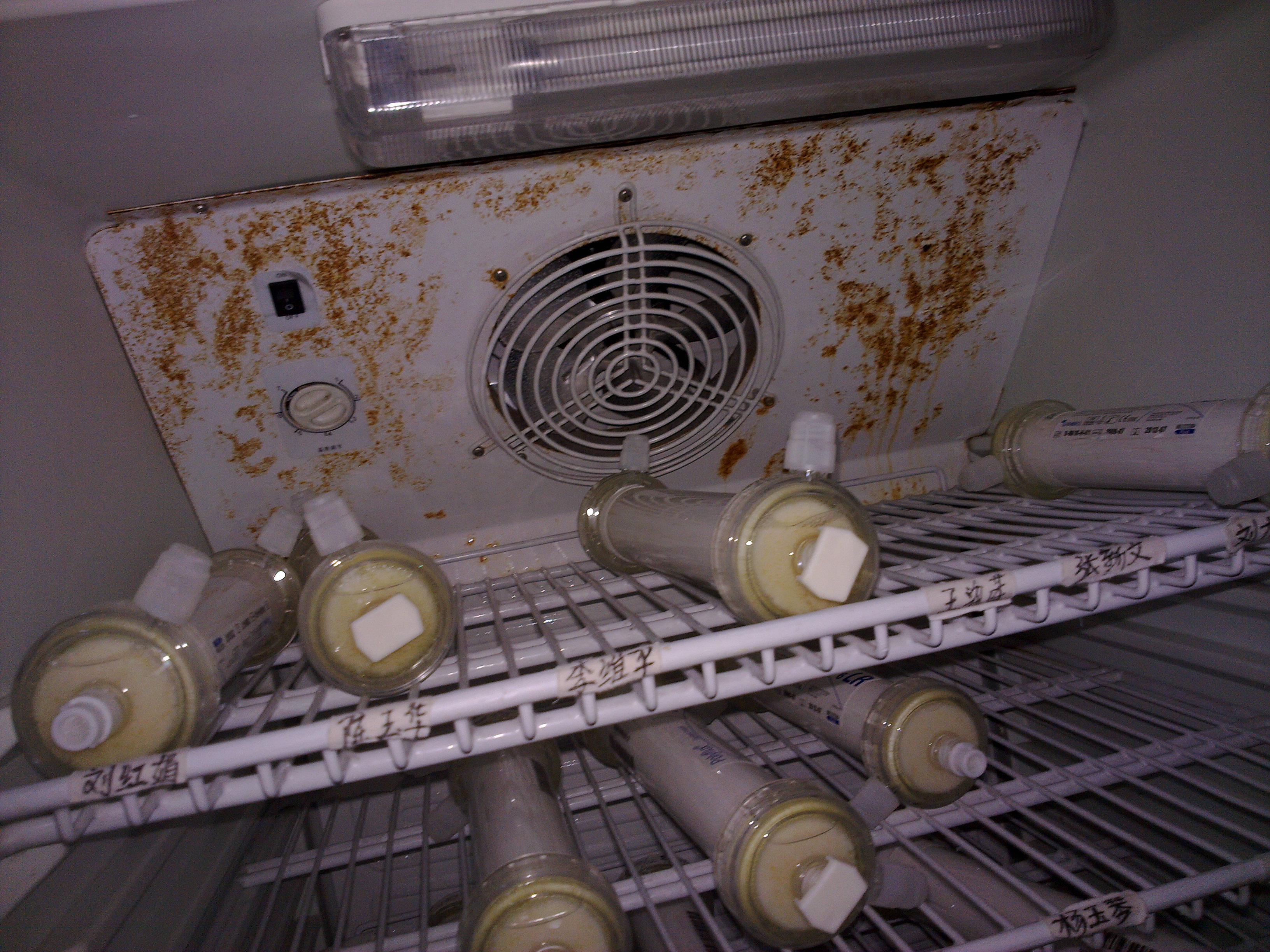 20100114070.jpg