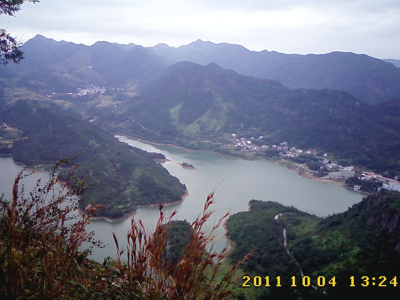 IMG0206.jpg
