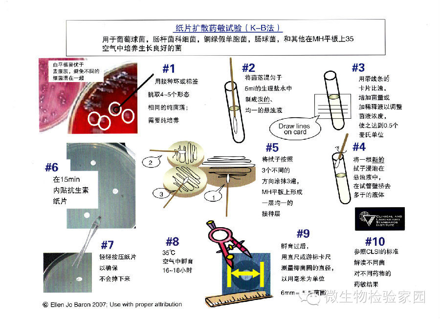 0 (11).jpg