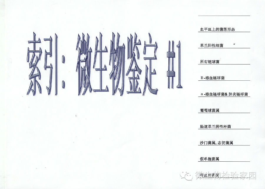 0 (15).jpg