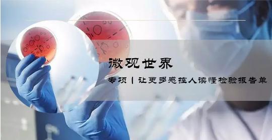 微观世界丨这份肺炎链球菌检验报告你读懂了吗？