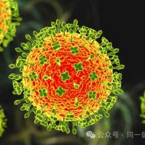 美国发现新型病毒，目前无证据显示该病毒感染人类